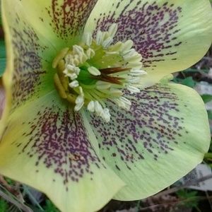 Meet your Posher, Cheryl